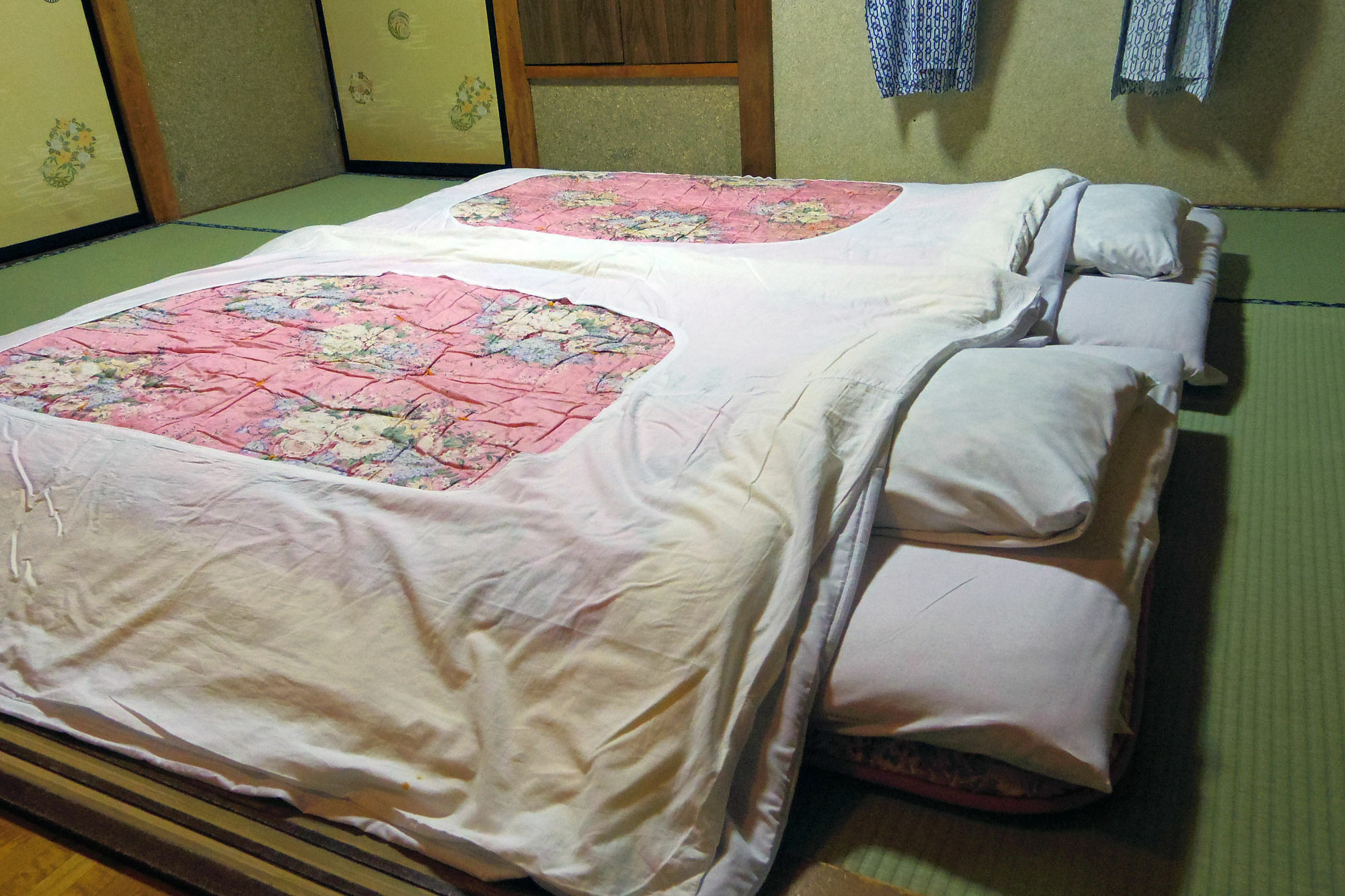Zero-Project Japan Guesthouse Yamanakako Zewnętrze zdjęcie