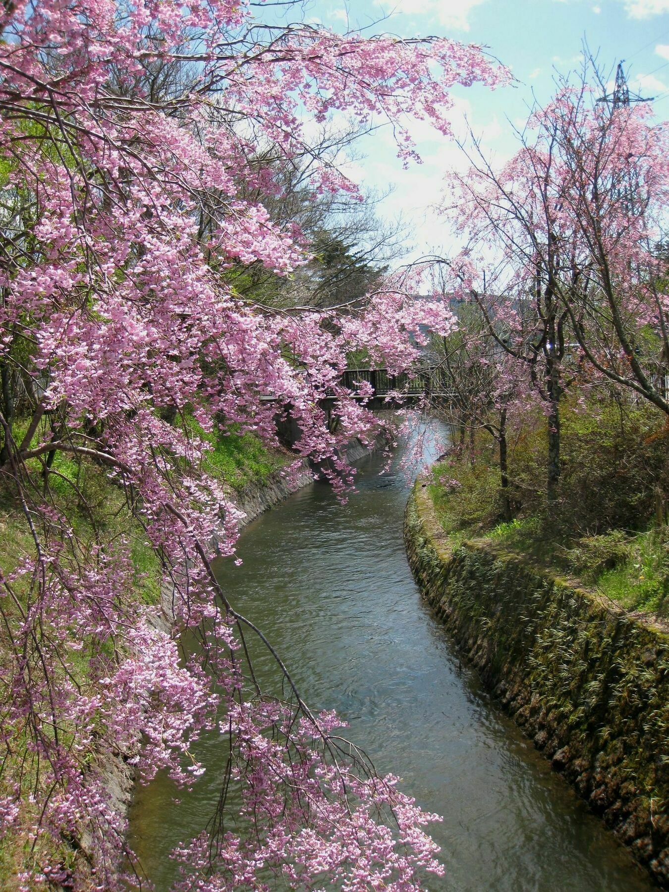 Zero-Project Japan Guesthouse Yamanakako Zewnętrze zdjęcie